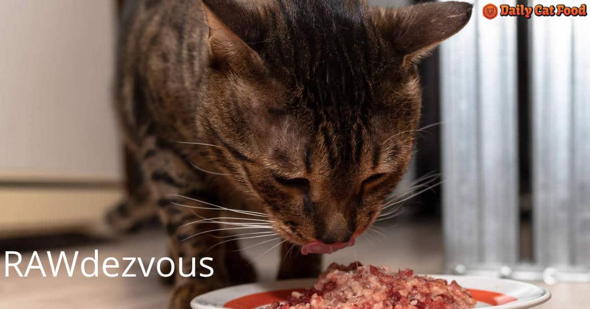 Raw Diet For Cats