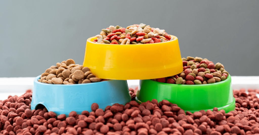 Best Cat Food Brands Best Cat Food Reviews