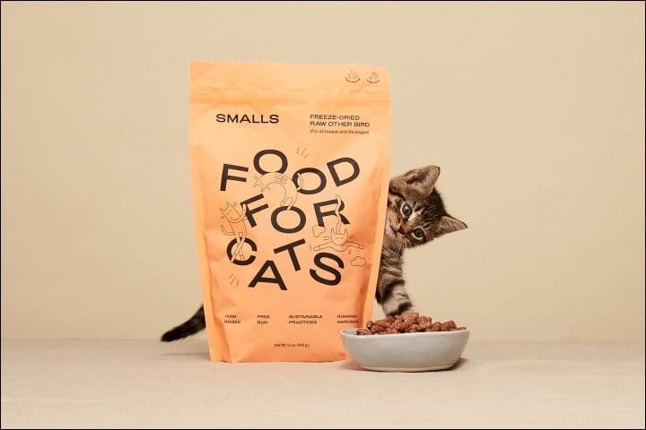 best cat food for maine coon smalls food