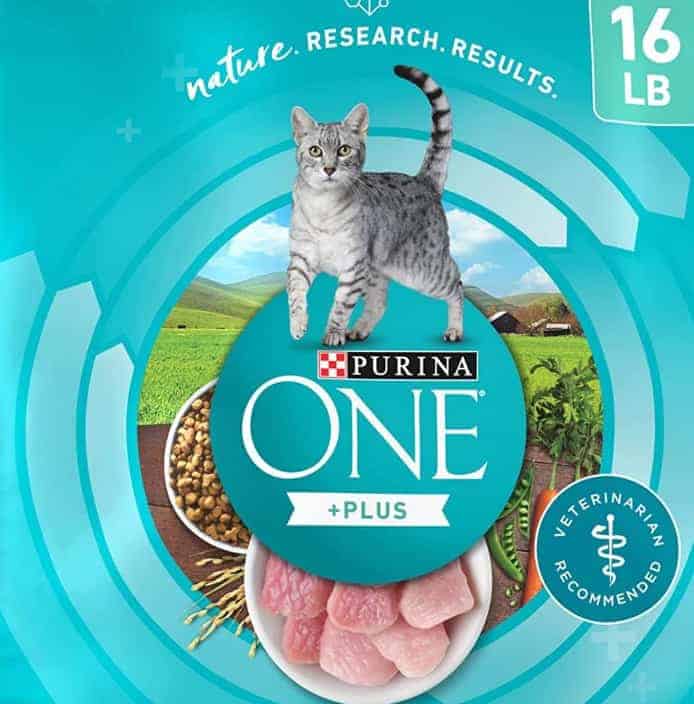 beat cat food for maine coon is purina one