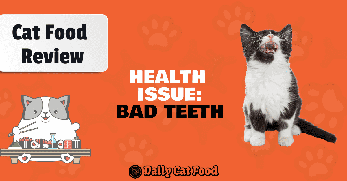 best cat food for bad teeth poster