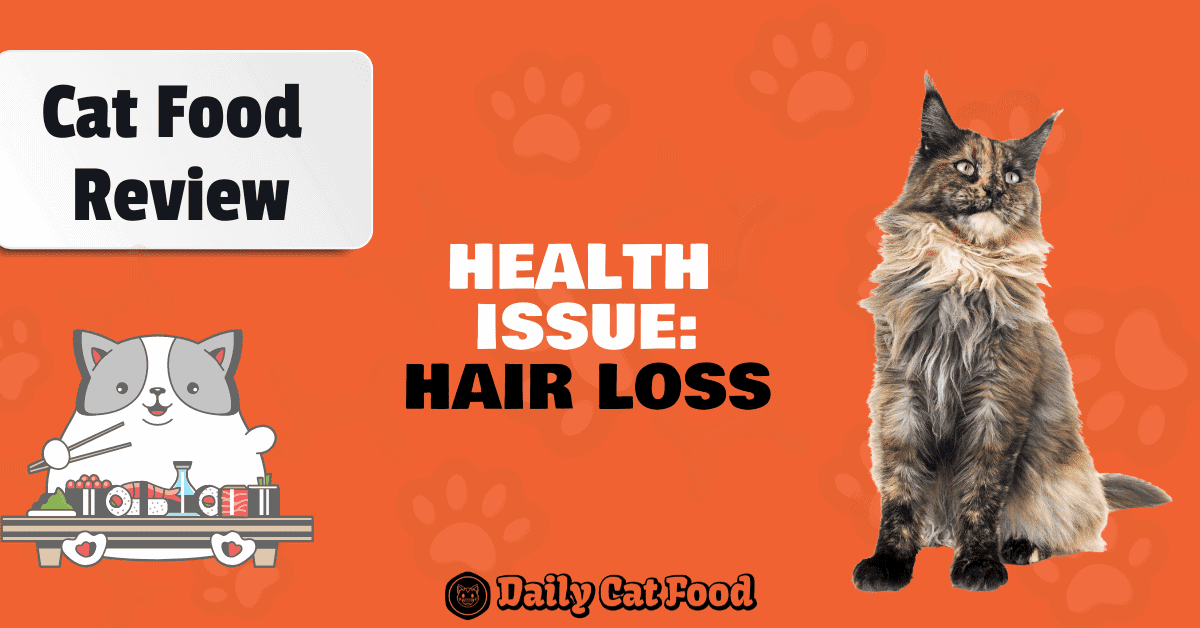 hair loss problem in cats