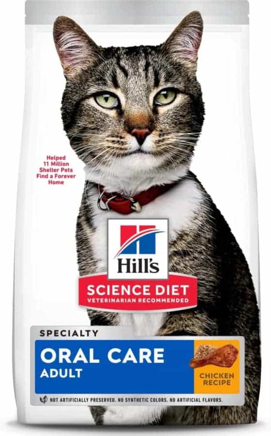 best cat food for bad teeth hill's science