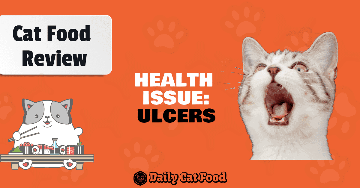 best cat food for ulcers prevention