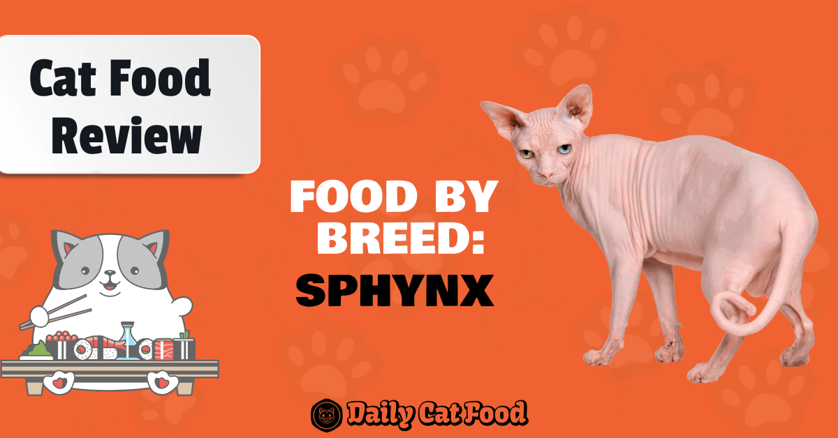 best food for sphynx