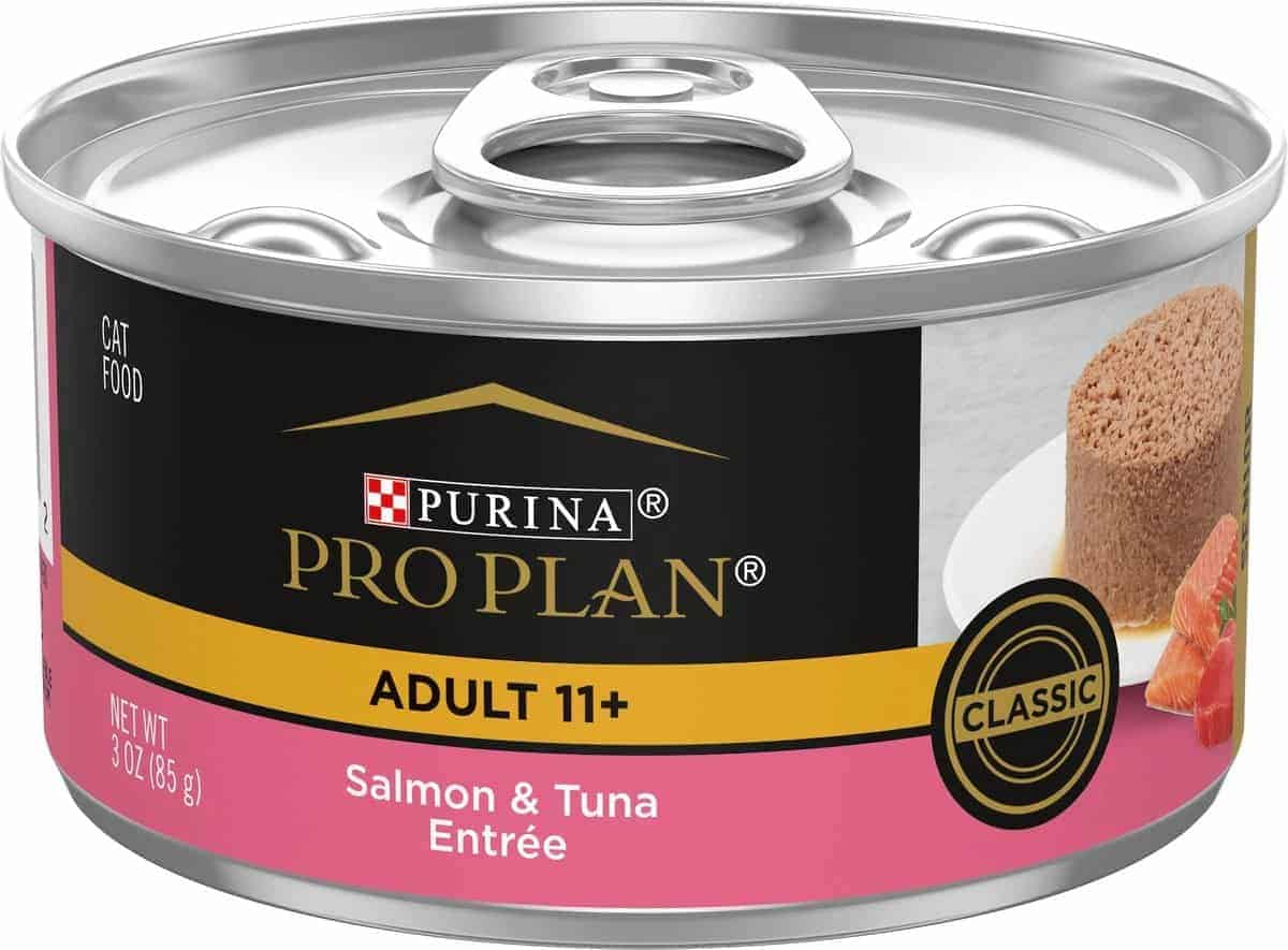 purina pro can for sphnyx