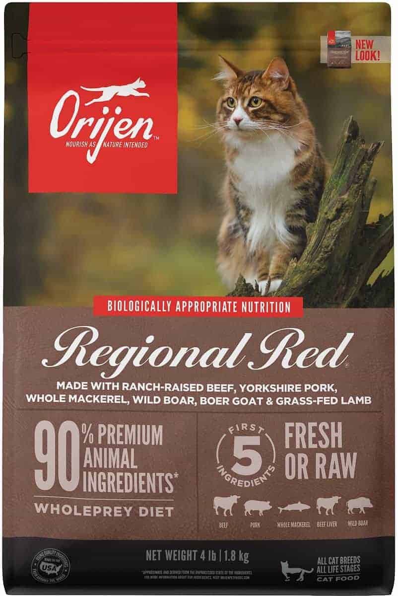 orijen best chicken free cat food