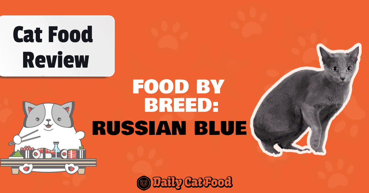 cat food for Russian blue banner