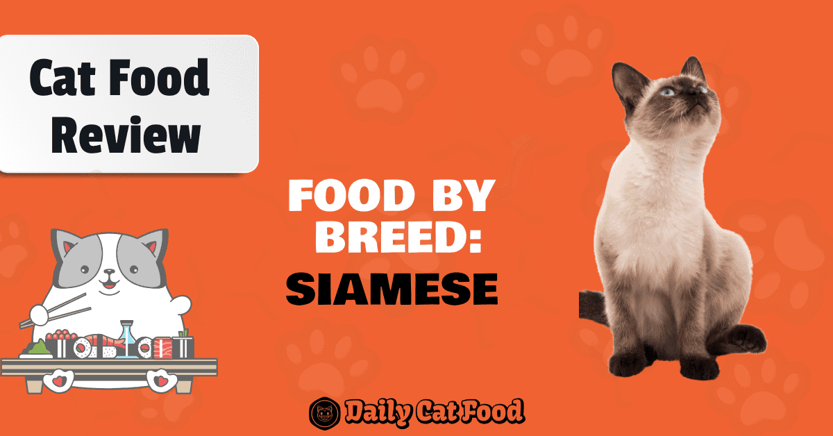 blog banner for cat food for siamese