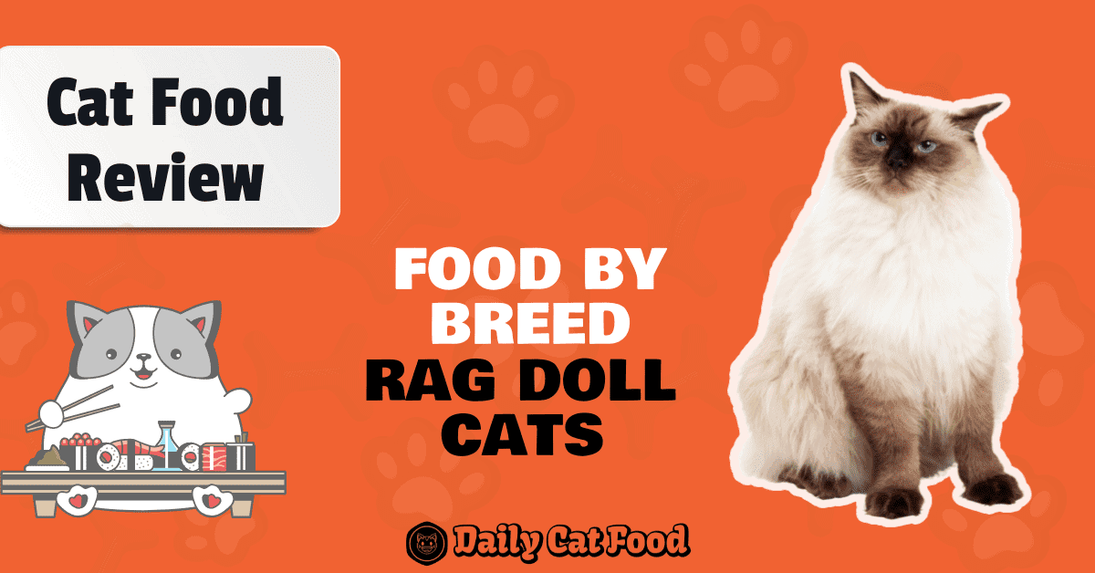 best cat food for ragdolls banner