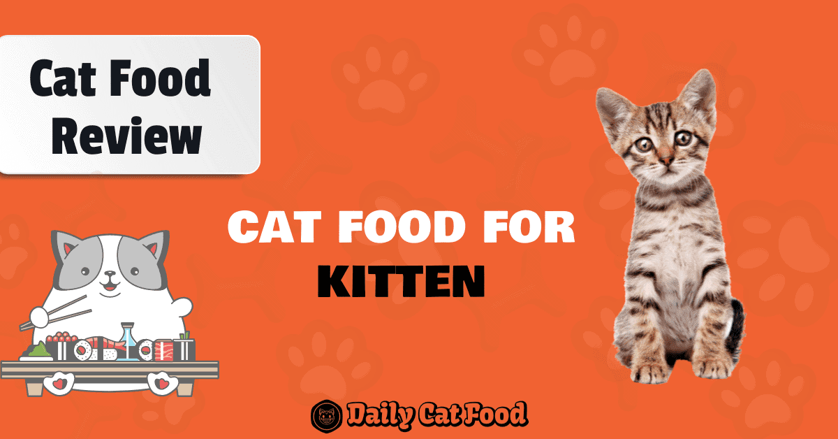 kitten cat food banner