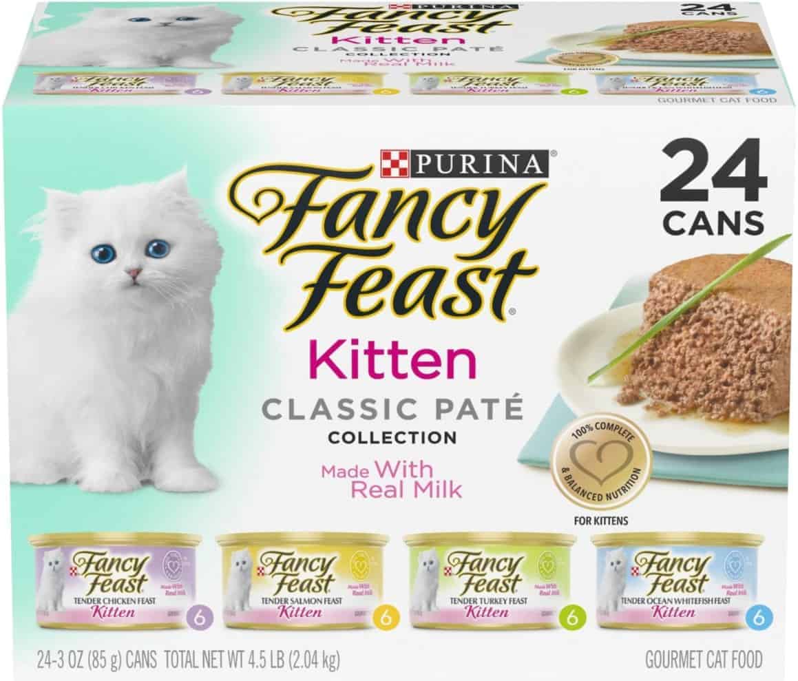 fancy feast kitten wet food