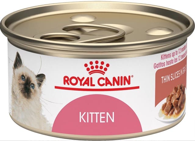 Royal Canin Kitten Thin Slices in Gravy Canned Cat Food