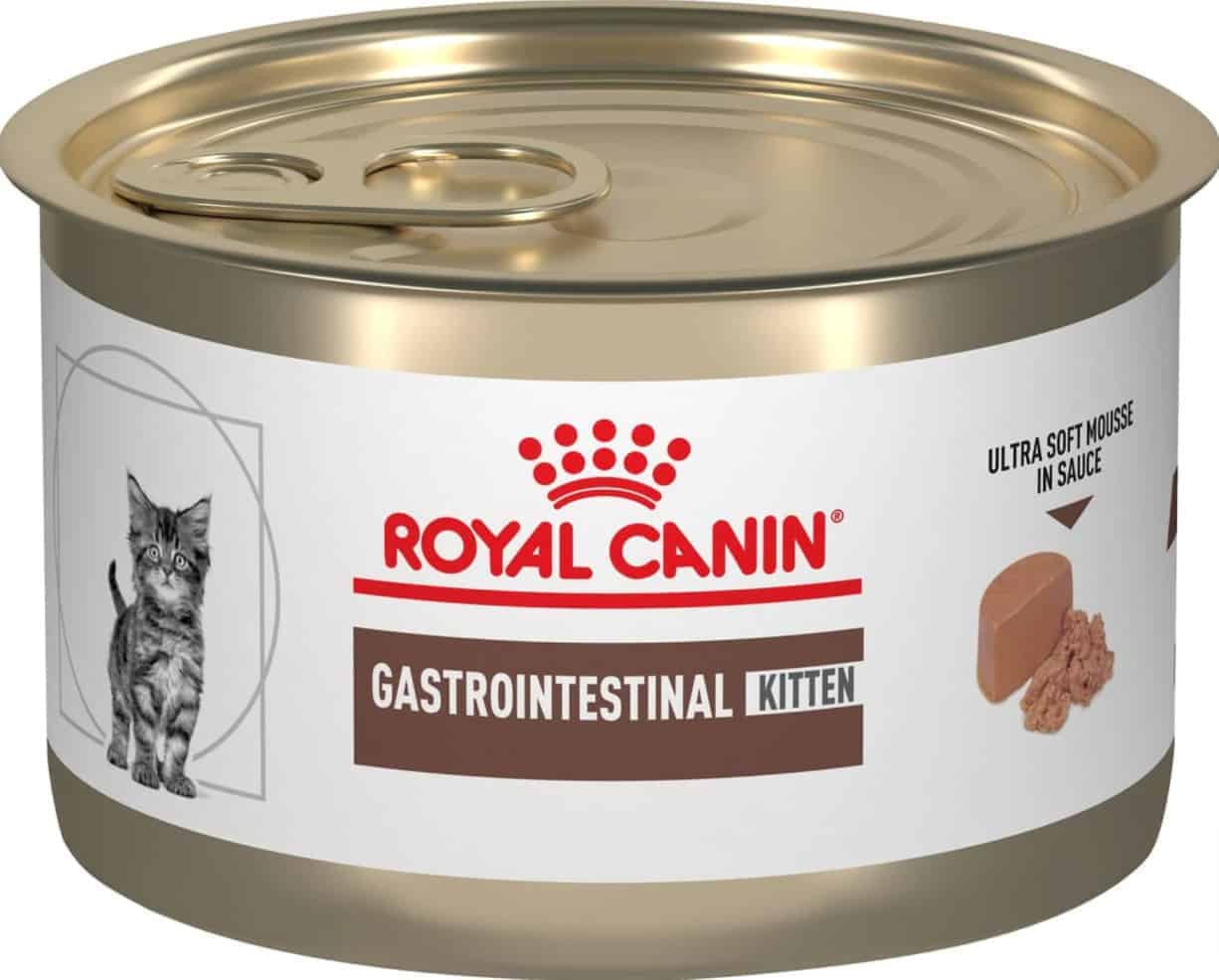 royal canin kitten wet food for cats