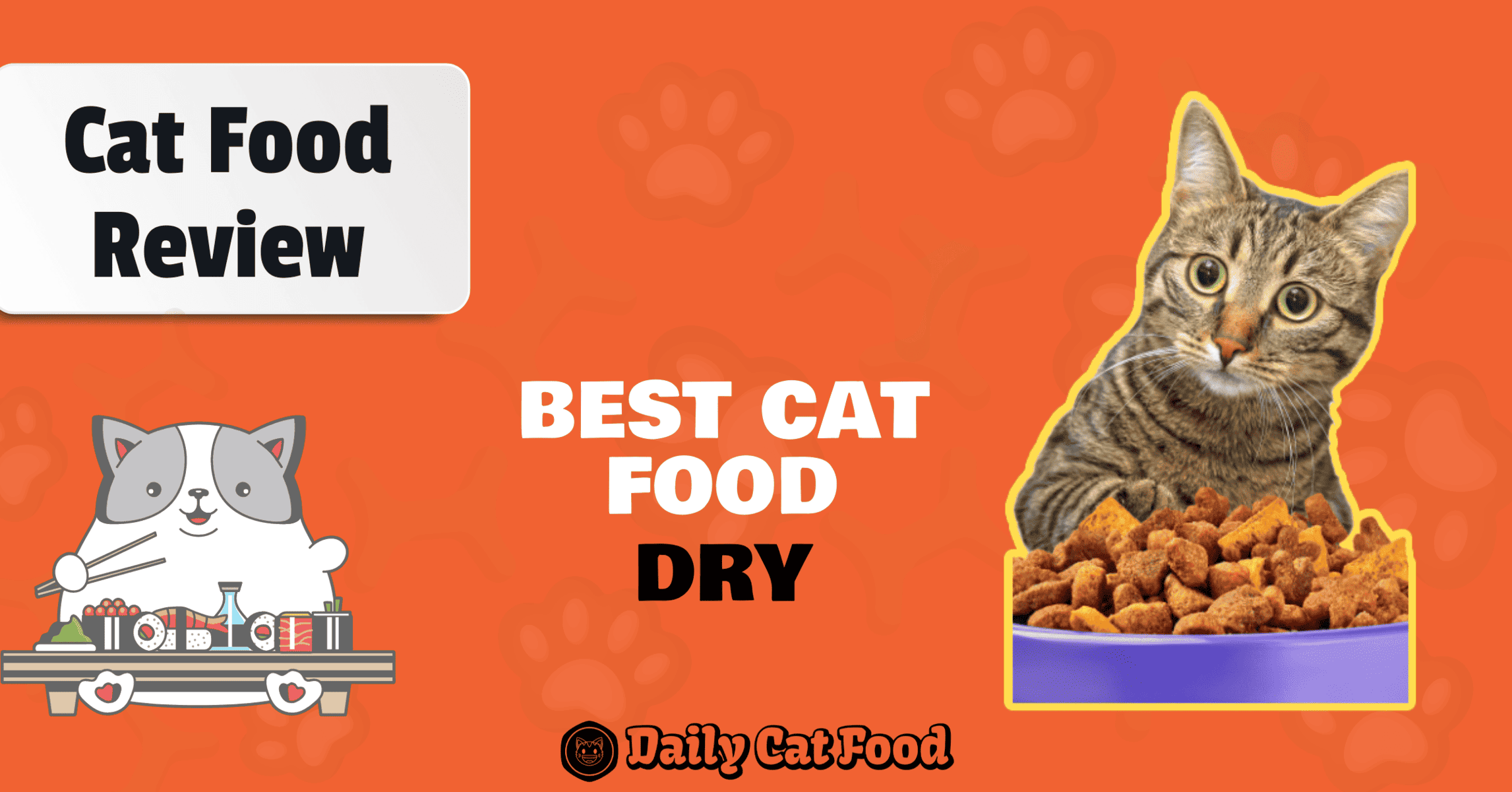 best dry cat food poster