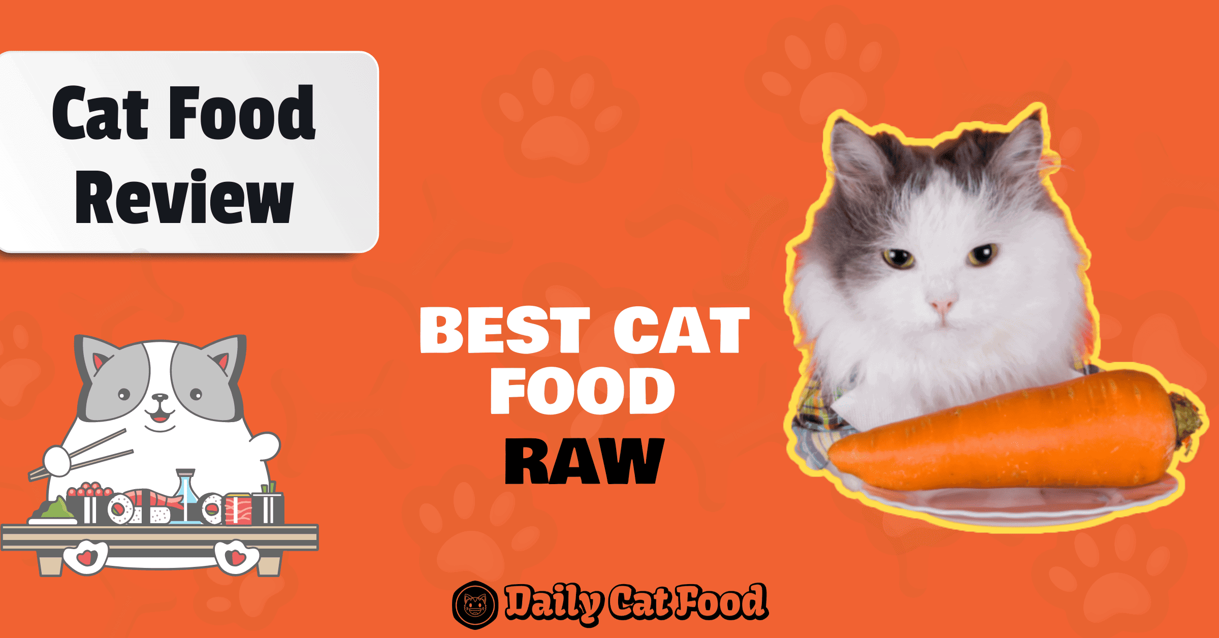 banner for best raw cat food