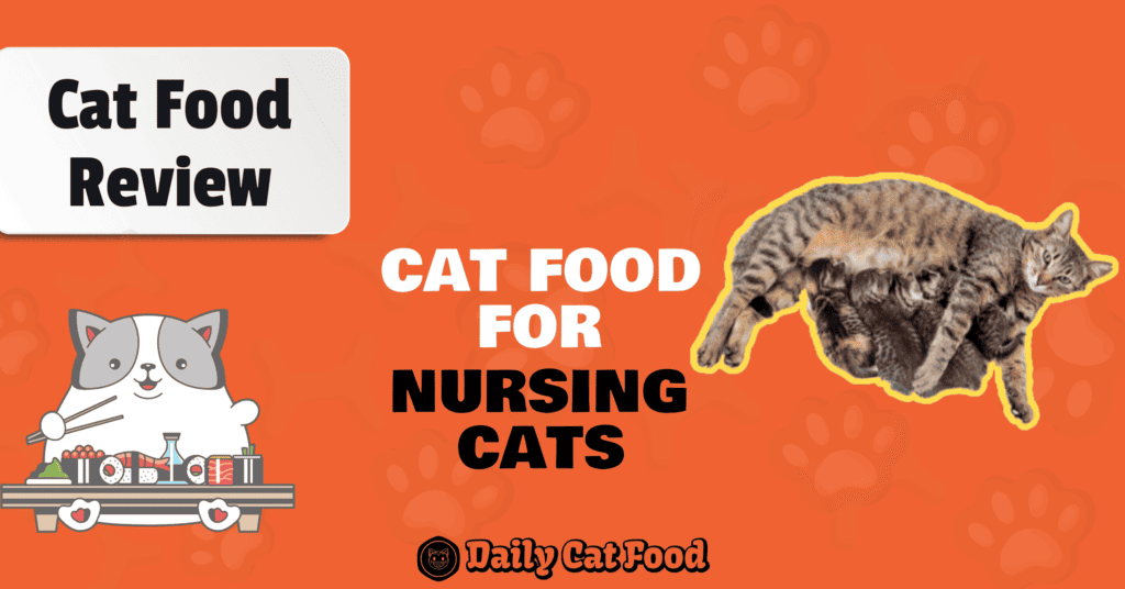 The Best Cat Food For Nursing Cats Top 9 Foods for Nursing Mothers Best Cat Food Reviews