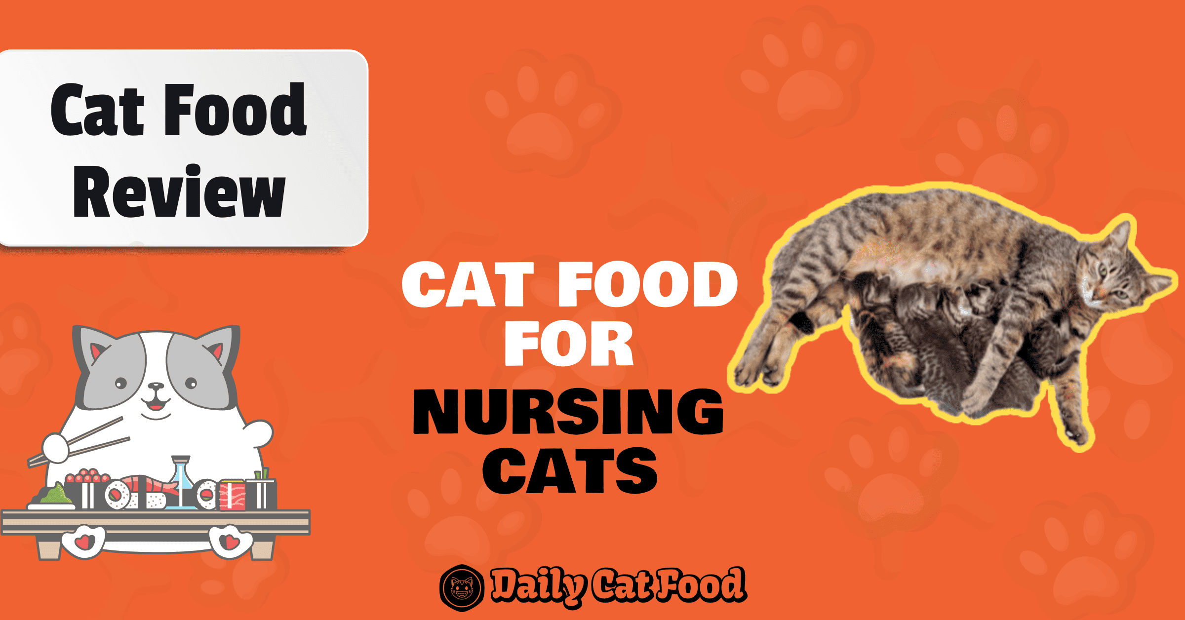 best cat food for nursing cats banner