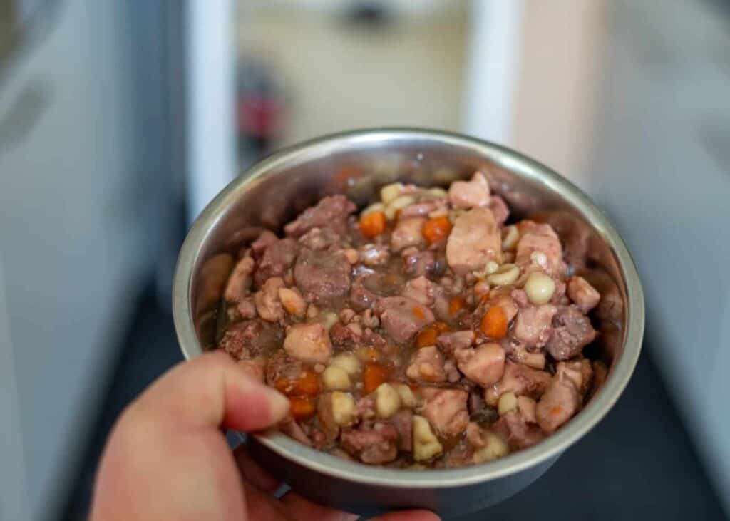 The Best Cat Food For Nursing Cats Top 9 Foods for Nursing Mothers