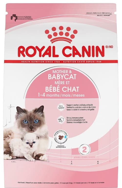 royal canin best cat food for nursing cats